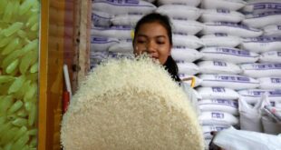 Cambodia eyes one million tonnes of rice exports by 2025