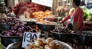 Onions put Philippines in a stew over food price inflation