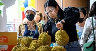 Thai police launch durian guarding service after $29,000 fruit heist