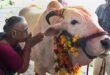 Indian police arrest three after man killed for possessing beef