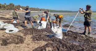 Philippine fishermen struggle as oil spill keeps them ashore