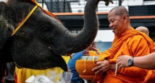 Elephants honored in Thailand as part of nation's heritage