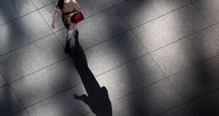 Progress made in Japan on gender wage gap, but more must be done: government