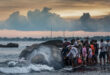 Massive sperm whale beaches itself, dies in Bali