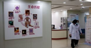 China weighs giving single women IVF access to stem population decline