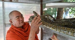 Pythons on your porch? Call Myanmar's 'Snake Princess'