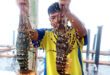 Seafood export down 28%