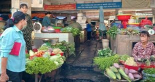 Food prices plummet as demand, production costs fall