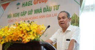 Conglomerate Hoang Anh Gia Lai to sell its hospital