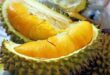 Durian buffets catch on in Singapore amid abundant supply