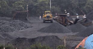 One-third of coal must be imported in 2024