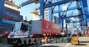 HCMC’s export turnover drops 22.4% in H1