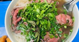 No bias for pho over banh mi: Michelin Guide