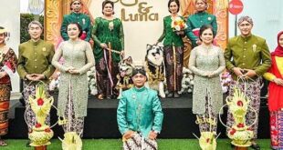 Fur-ever after: Indonesians sorry after lavish dog 'wedding' backlash