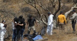 Mexico police find 45 bags with human body parts in ravine