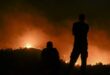Thousands more evacuated as Greece 'at war' with forest fires