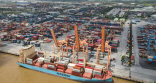 Exports improve in November