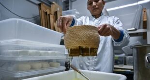 Cheesemaker spreads joy in tropical Thailand
