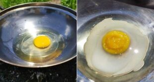 Malaysian woman uses sun heat to fry egg outdoors
