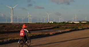 Chinese energy storage, battery firms consider big investments in Vietnam