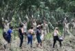 Thousands of migrants face tough new US border rules