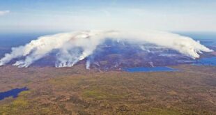 Canada wildfires spark 'ecoterrorist' conspiracy theory