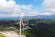 Phong Lieu Wind Power profits in slumping industry