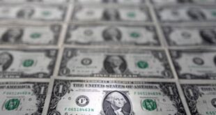 Dollar hits 18-week high against dong