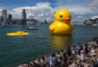 Giant rubber duck no match for Hong Kong's baking heat