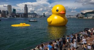 Giant rubber duck no match for Hong Kong's baking heat