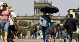 Extreme heat kills more than 100 in Mexico: government