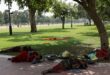 Scores die in northern India as heat wave scorches region