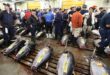 Japan gets on board with fishing accord