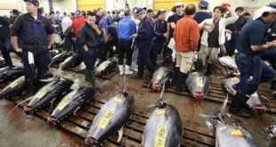 Japan gets on board with fishing accord