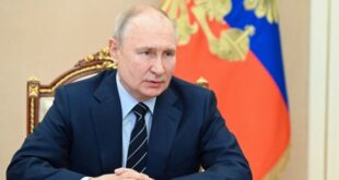 South Africa: Putin will not attend BRICS summit by 'mutual agreement'