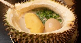 Malaysia restaurant sparks division over durian ramen