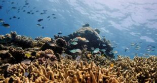 UNESCO welcomes $2.9B Australian investment in Great Barrier Reef