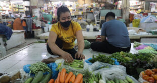 GSO head points to factors affecting Vietnam’s efforts to curb inflation