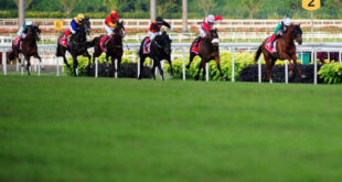 Singapore to end horse racing amid slumping spectatorship