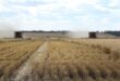 El Nino may hammer Asian farms with dry weather, but shower American growers