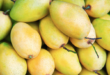 Vietnam ranks third in exporting mango to S Korea