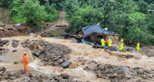 Heavy rains, flooding leave 37 dead in South Korea