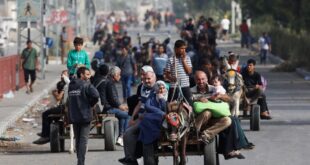 Gaza population in 'grave peril', says WHO