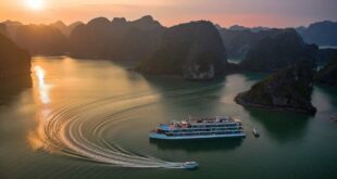 Tourist boats in Ha Long, Lan Ha Bay struggle due to local travel ban