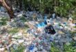 Extended Producer Responsibility a tool to promote recycling industry, circular economy