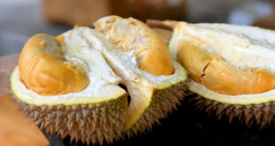 EU to check for pesticide residues in Vietnamese durian