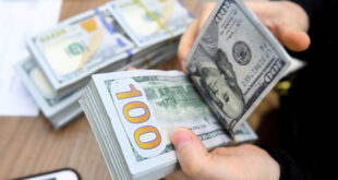 Dollar bounces back from three-week low