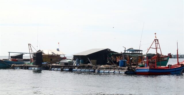Kiên Giang Province is boom town for marine aquaculture