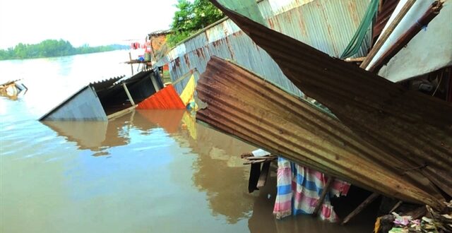 Rainy season intensifies riverbank erosion in Cà Mau Province