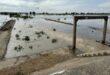 Mekong Delta expects higher floods this season